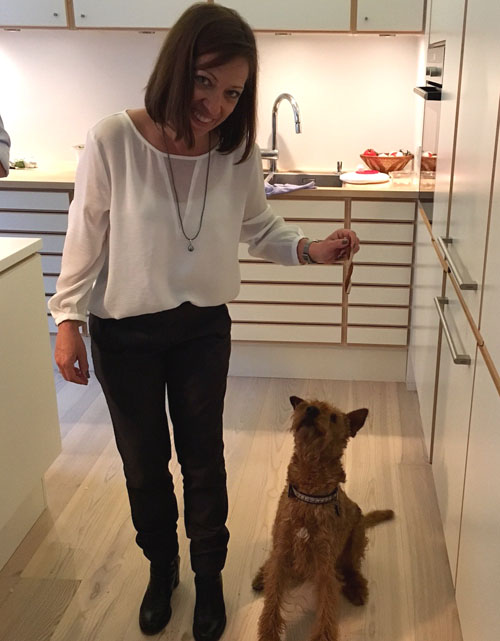 Red Barons Irish Terrier